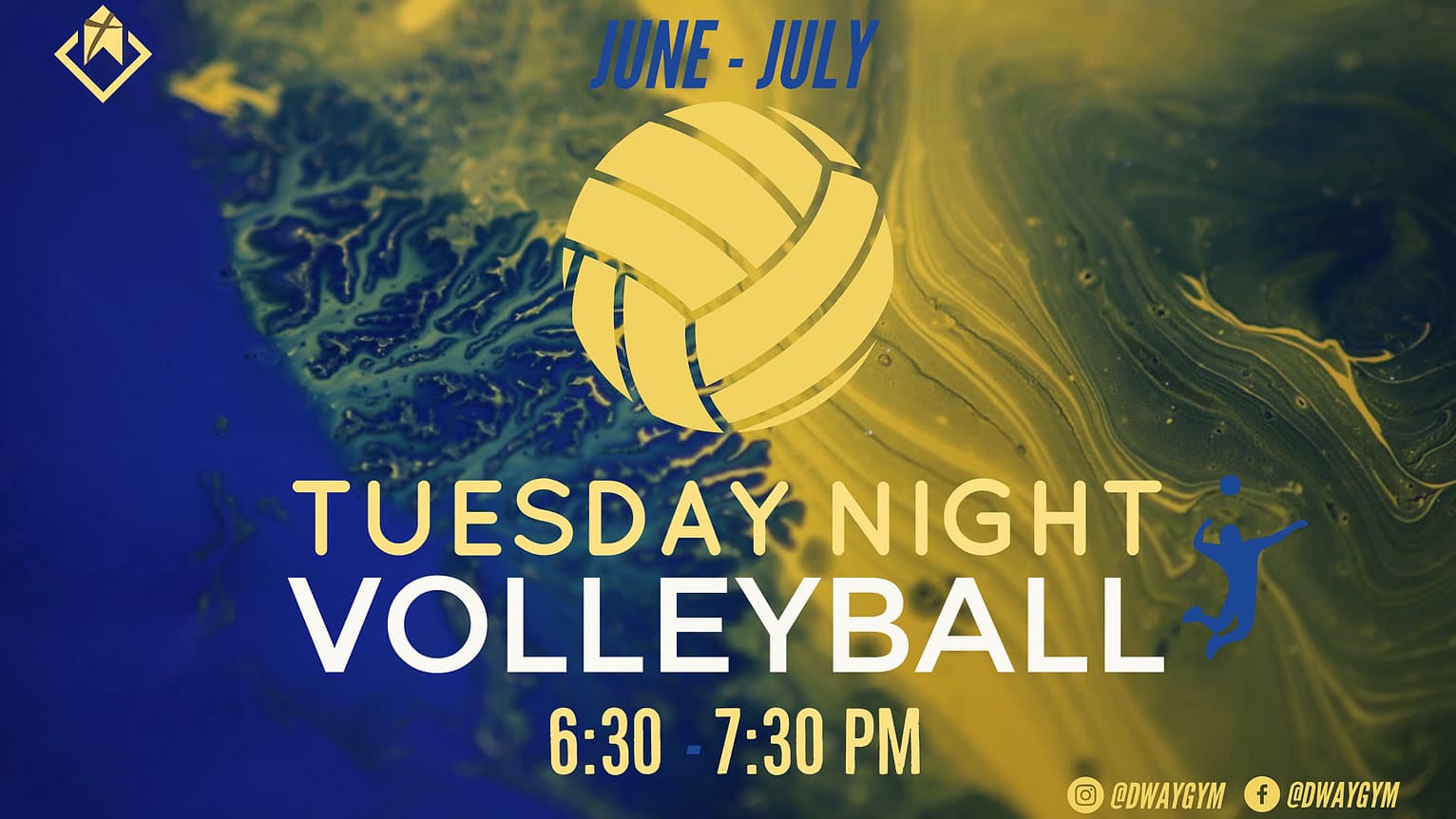 Dauphin Way Volleyball Night