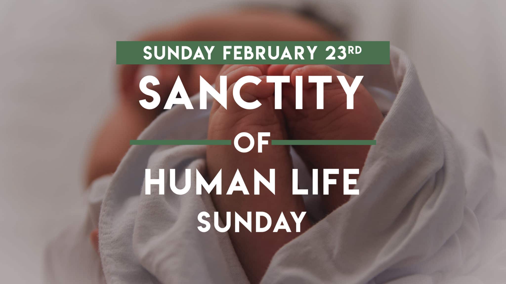 Sanctity of Human life Sunday Dauphin Way Baptist Church